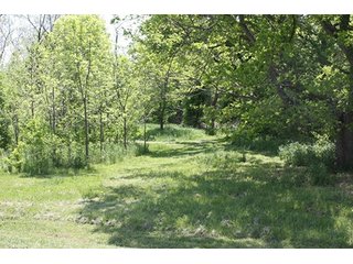 Property photo 21 - LAND AUCTION - 389.5+/- ACRES IN 11 TRACTS IN SULLIVAN COUNTY, INDIANA